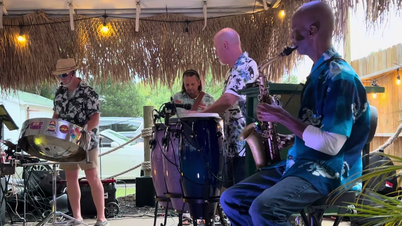 Promotional video thumbnail 8 for Lenny Frisch (GOOD VIBES BAND)