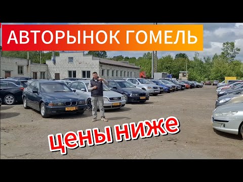 GOMEL CAR MARKET Belarus cheaper than in Minsk?!