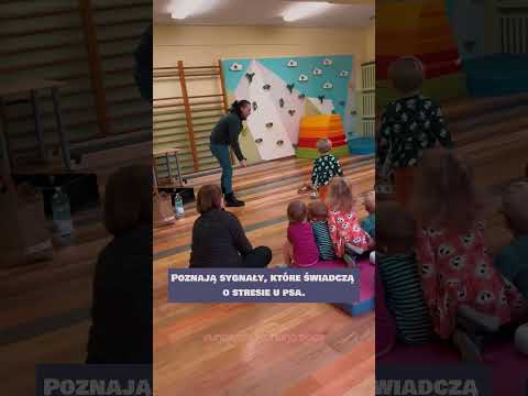 Obrazek poglądowy filmu YouTube