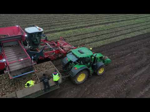 Stewart’s of tayside lifting neeps with a dewulf