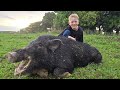 7 Days In Hawaii My 1st Pig Hunt Spear Fishing Making Lau Lau More