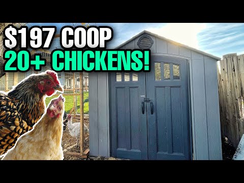 , title : 'CHEAP AND EASY DIY CHICKEN COOP! Save Time And Money!'