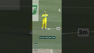 Download lagu GENIUS commentary from Alyssa Healy 😱 #AUSvSA mp3