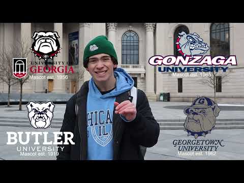 "Behind the Bulldog" by Elliot Riseman - 2024 Best Documentary Nominee