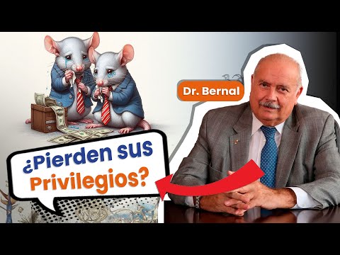📉 Dr. Bernal: Políticos desesperados por conservar sus privilegios - ¿Diputados, Magistrados, CSS?