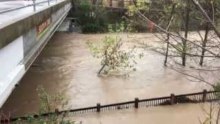 preview picture of video 'Santa Rosa Creek After Storm'