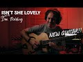 Isn't She Lovely (New Guitar)