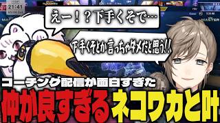 【まとめ】叶とワカの仲が良すぎる2人のコーチング配信が面白すぎたｗｗ【切り抜き/叶/にじさんじ/ネコと和解せよ/スト6】