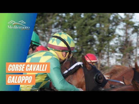 Corse cavalli di Galoppo del 24 Gennaio 2022