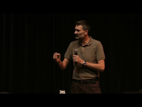 Sérülékenység veszélyeztetettség séma 2. - Pálferi (2012.12.18.)