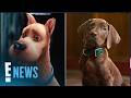 Scooby Doo Fans Are Divided Over First Look At Live Action Remake E News