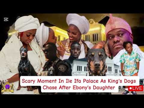 Scary Moment In Ile Ifa Palace As King's Dogs Chase After Ebony's Daughter 