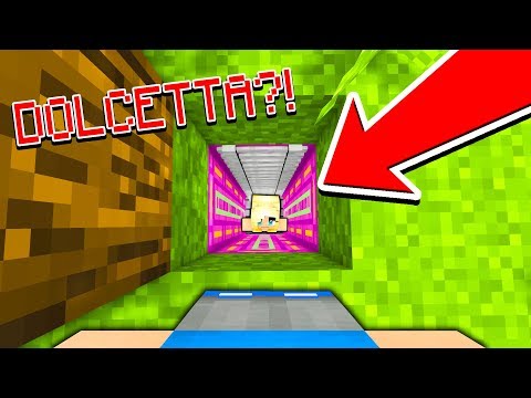 ENTRO NELLA STANZA PRIVATA DI DOLCETTA!! - Città di Minecraft #15