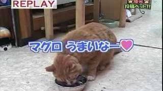 Attach YouTube
