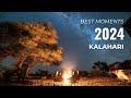 Ultimate Desert Adventure Kalahari Desert 4x4 Expedition Namibia South Africa Botswana