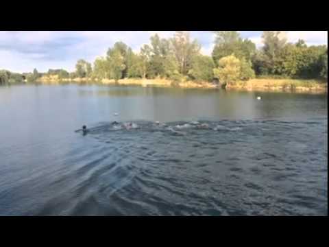 Freiwasserschwimmen START