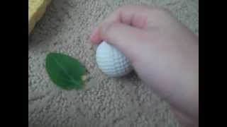 Cover art for bfdi battle