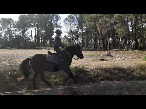 17/10/20 Travail au galop en carrière pour mes jeunes cavalières en herbe