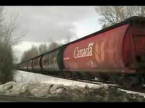 CP #426 - Flamborough 15.03.08 0541
