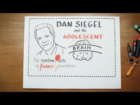 Myths of the adolescent brain-dan siegel