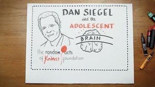 Myths of the Adolescent Brain - How to understand your teen's brain development