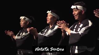 Nagata Shachu 2016-2017 Season:  Toronto Taiko Tales