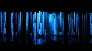 Best Video Installation Art at the Biennale in Santa Cruz Bolivia by SONIA FALCONE