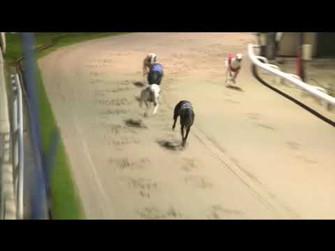 2018 ESSEX VASE - HEAT 4 - T4 SHOTGUN BULLET