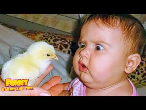 Adorable Babies Meeting Animals in Zoo and Village - Funniest Home Videos | Funny Baby Videos