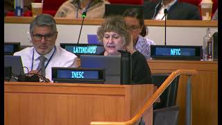 Objectives of the UN Tax Convention | UN Tax Convention Negotiations S