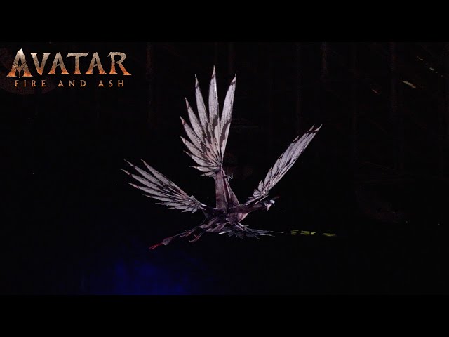 In Theatres December 19