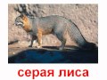 Животные хищники медведи, волки, гиены звук 