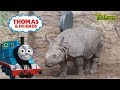 Thomas Visits The Zoo Treehouse