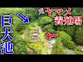 【山復興＃1】ついに東京ドーム3つ分の山購入？？のYouTubeサムネイル