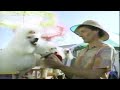 Opening To Bingo 1992 HBO Recordable VHS Incompleted Version