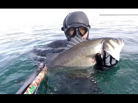 TAŞ ALTINDA VE MAĞRALARDA AGAŞON İLE LEVREK AVI