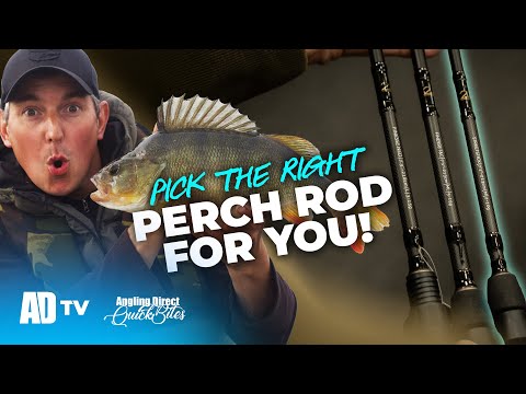 Pick The Right Perch Lure Rod For You - Predator Quickbite