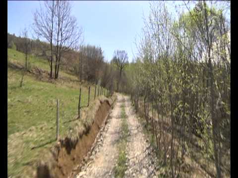 Florin Taut - primarul pentru Leordina