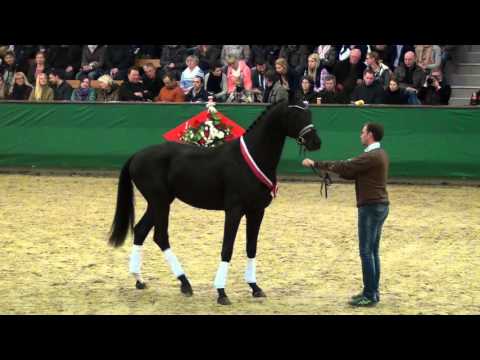 D'Egalité : Don juan De Hus X Stedinger X Rohdiamant ( 2013 ) - Handorf 2016