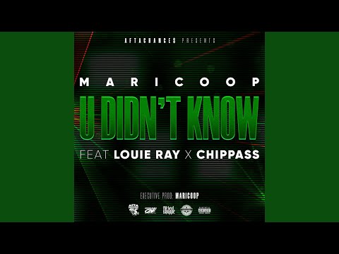 U Didn't Know (feat. Louie Ray & Chippass)