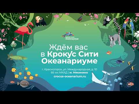 Океанариум крокус схема