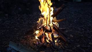 サンプル映像【ASMR】焚き火　Bonfire   Fire sounds