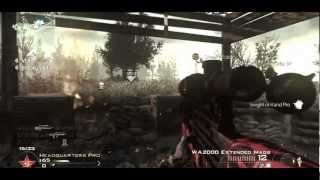 Exalt: 1 Year Anniversary Teamtage by eX PicXy