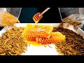 Are There Things Mealworms CAN T Eat