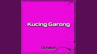Download lagu DJ Kucing Garong (Remix) mp3