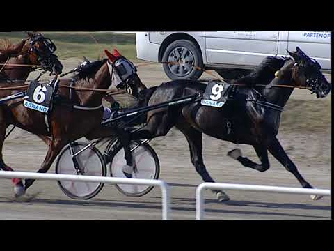 Napoli Trotto 15/09/2023 - 4ª corsa