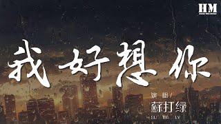 蘇打綠 - 我好想你『我好想你 好想你』【動態歌詞Lyrics】