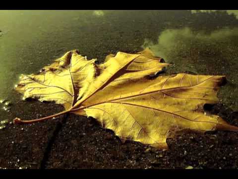 Zindan - Sonbahar ( BUNU DİNLEMEN LAZIM !!! )