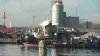 preview picture of video 'Vejle havn'