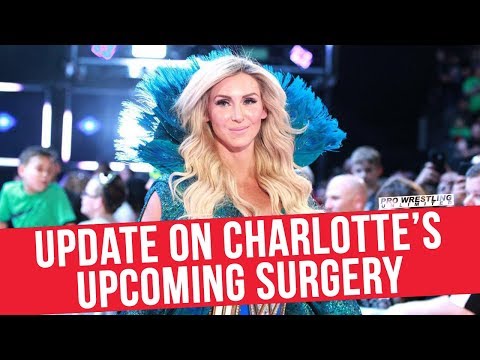 Fight Size Update: Lita’s Show About UFOs, NXT Tapings, NJPW “Post-Game Show”
